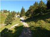 Kranjski Rak  - Kapela Marije Snežne (Velika planina)